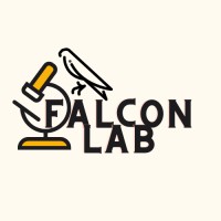 FALCON LAB logo - Similar company to Complex Dynamix