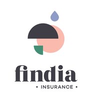 Findia logo - Similar company to Cyber Security Center