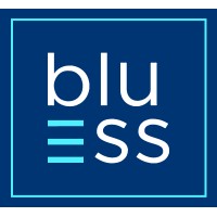 Business Services & Software logo - Similar company to Vindula