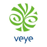 Virtual Eye Films logo - Similar company to Sahit Studio