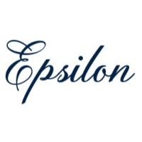 Epsilon Insights logo - Similar company to Epsilon Infinity Services