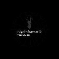 Hacettepe Üniversitesi Biyoinformatik Topluluğu logo - Similar company to Nanotip