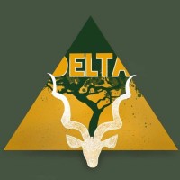 Delta ESSEC logo - Similar company to Raid Essec