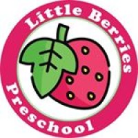 Little Berries Preschool Llc