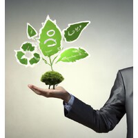 ESG & Sustainability Consulting logo - Similar company to Enablegreen