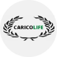 Carico Honduras logo - Similar company to Carico México