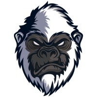 Little Gorilla Video Productions logo - Similar company to Studio1Five