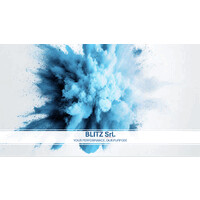 Blitzsports logo - Similar company to For, Future Of Retail