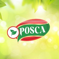 Posca Tea logo - Similar company to Studio Posca
