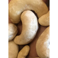 EA Agro Allied Co Ltd logo - Similar company to Pause International