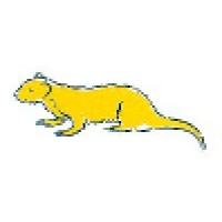 Ferret Information Systems logo - Similar company to Searchminder Ltd