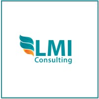 LMI Consulting Africa