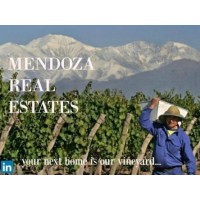 MENDOZA REAL ESTATES logo - Similar company to Remax Solutions Mendoza