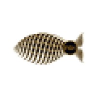 Fish Muvi logo - Similar company to Totem Studios