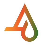 Primary Insight Ltd