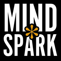 Mind*Spark Creative logo - Similar company to Hendlin