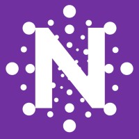 Netlogus logo - Similar company to Athomic Esd Ind. Com. Prod. Antiestáticos Ltda.
