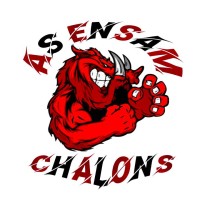 BDS Ensam Châlons-en-Champagne logo - Similar company to Bds Polytechnique