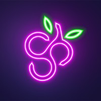 Spinberry logo - Similar company to 1Pt Group