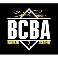 BCBA logo - Similar company to Aba Behavior Solutions