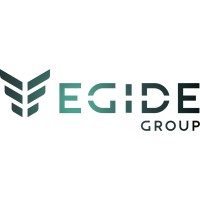 EGIDE Group Holding logo - Similar company to Triple Canopy Contractors