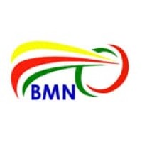 BMN Cameroon Official logo - Similar company to Bmn Cameroon