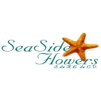 SEASIDE FLOWERS S. DE R. L. DE C. V. logo - Similar company to Open Warehouse