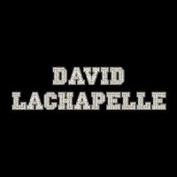 David LaChapelle Studios Inc. logo - Similar company to Superbien