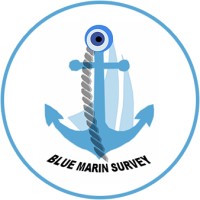 BLUE MARIN SURVEY logo - Similar company to Technadyne Engineering Consultants, Inc.