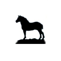 Picture Stable LLC logo - Similar company to Streamguys