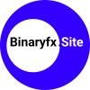 Binaryfx logo - Similar company to Centipid Technologies