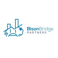 Bison Bridge Partners logo - Similar company to Pulse Networking