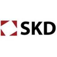 SKD grupa doradcza logo - Similar company to Skd Partner
