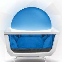 Somadome logo - Similar company to Emerging Humanity