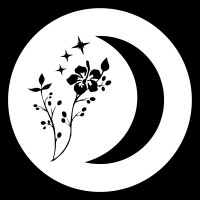 Shattered Nights Music logo - Similar company to Setting Sail Records