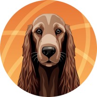 TextTeo AI logo - Similar company to Hoopla (Techstars Fc23)