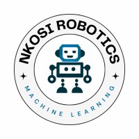 Nkosi Robotics and Machine Learning logo - Similar company to Robotics Coding Academy