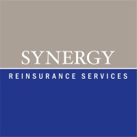Synergy Reinsurance Services, a.s. logo - Similar company to Prowess Great Solutions