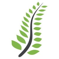 The OCD Clinics logo - Similar company to Gem Academy