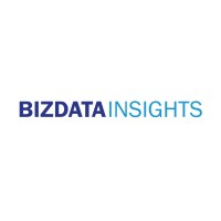BIZDATA INSIGHTS logo - Similar company to Paystation