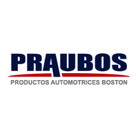 Praubos SPA logo - Similar company to Qcobjects Framework