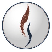 VICORSA logo - Similar company to University Of Virginia - Center For Applied Biomechanics