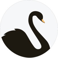 Black Swan Capital Europe logo - Similar company to Julicious