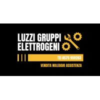 Luzzi Gruppi Elettrogeni logo - Similar company to Flow Process Srl
