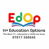 Education Options logo - Similar company to Dreamsai Milton Keynes