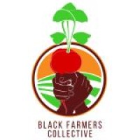 Black Farmers Collective logo - Similar company to Central District Community Preservation And Development Authority Cdcpda