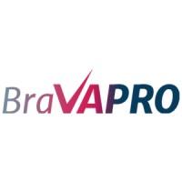 Bravapro Ltd - Virtual Business Manager / VA logo - Similar company to Sanyblast