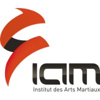 INSTITUT DES ARTS MARTIAUX logo - Similar company to Kiwaza
