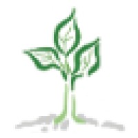 Phi Environmental Consulting