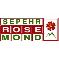 Sepehr Rosemond logo - Similar company to Mindelia